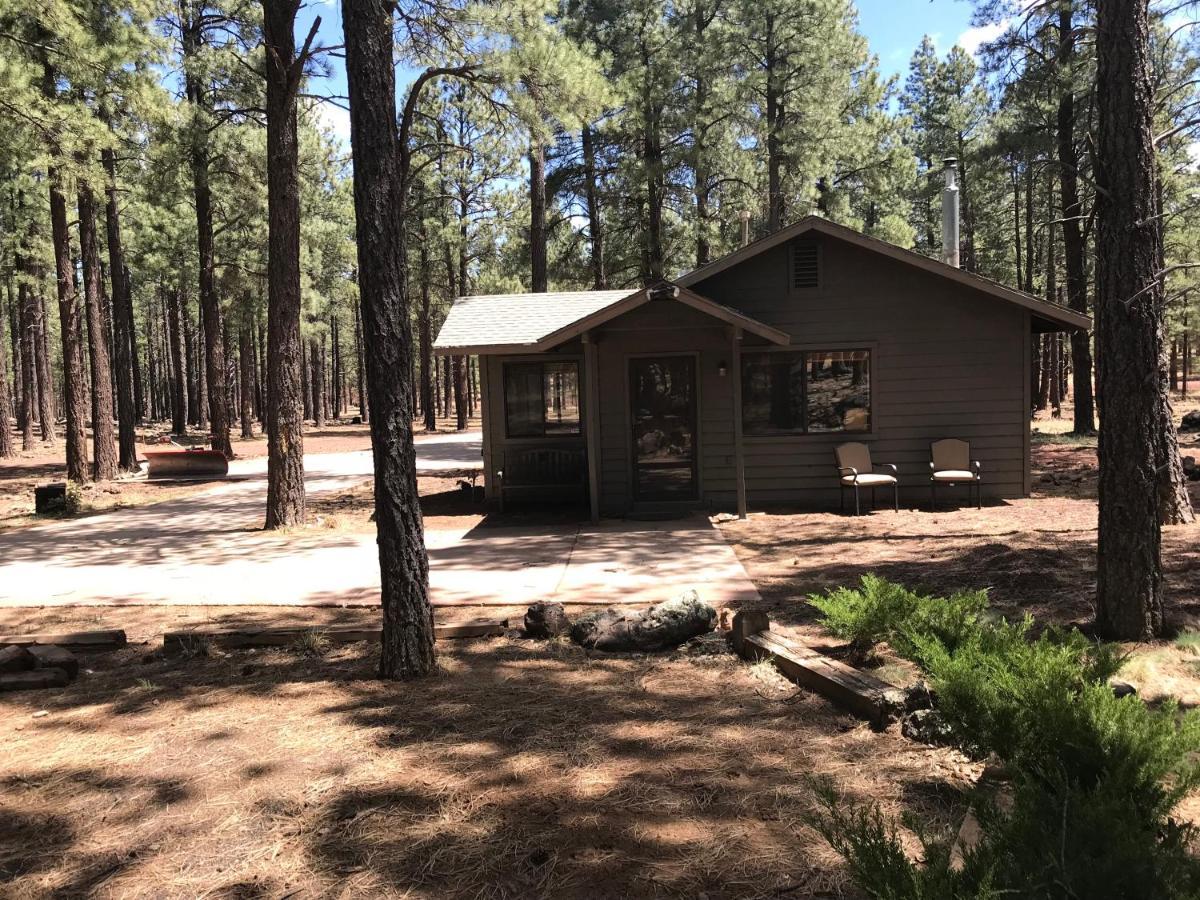 Grand Canyon Cottage At Historic Wrigley Ranch With Horseback Riding & Shooting Parks Ngoại thất bức ảnh