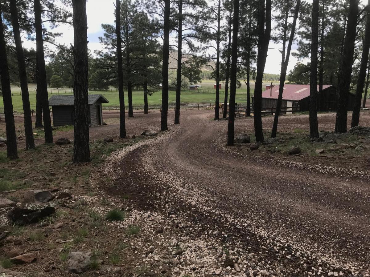 Grand Canyon Cottage At Historic Wrigley Ranch With Horseback Riding & Shooting Parks Ngoại thất bức ảnh